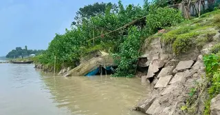 কুষ্টিয়ায় শহররক্ষা বাঁধে ধস; হুমকির মুখে বসতবাড়ি, ব্যবসা প্রতিষ্ঠান
